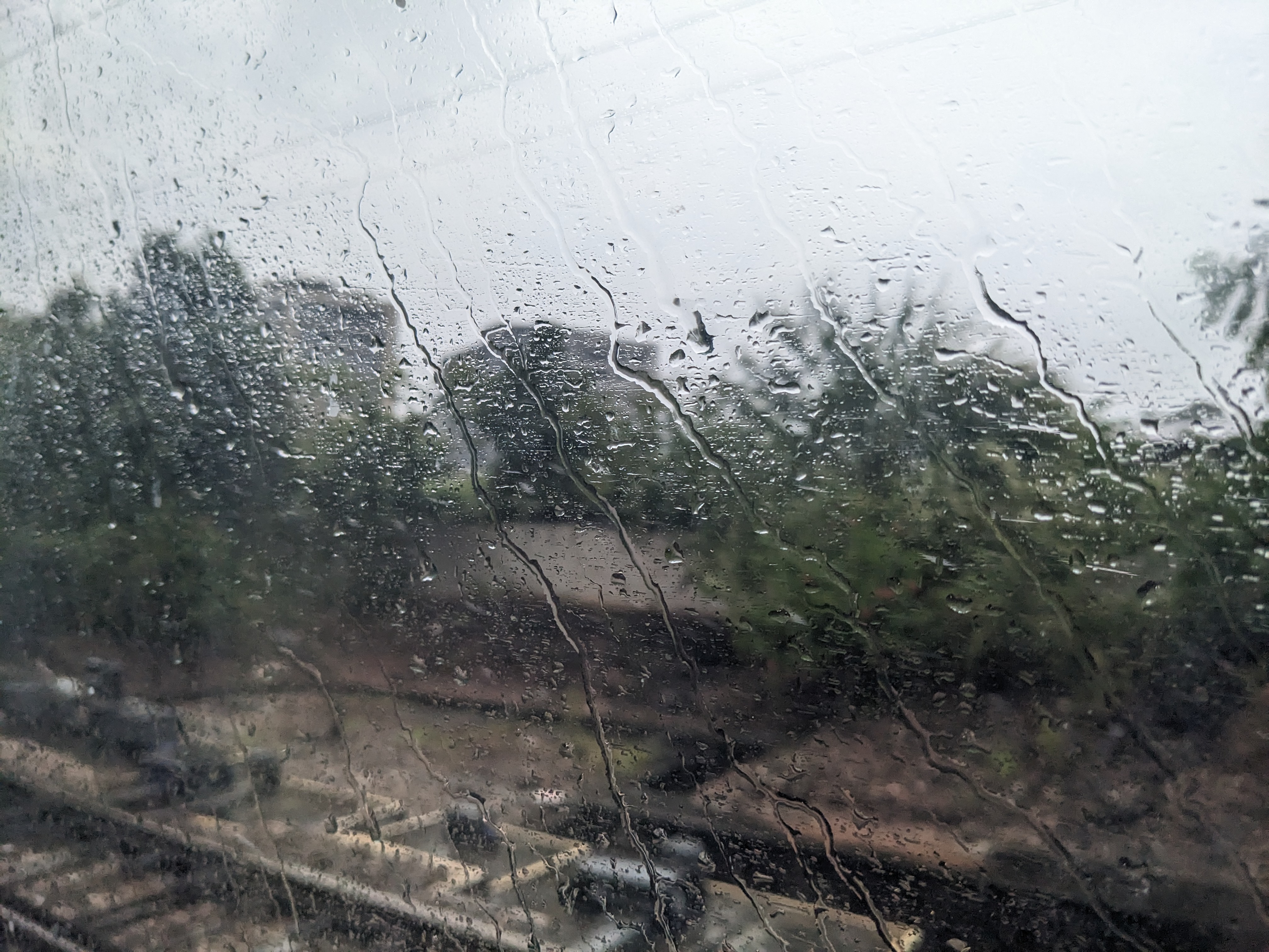 雨